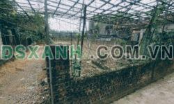 Bán 201m2 đất thổ cư tại Khoái Châu Hưng Yên, sổ đỏ, chỉ 1.5 tỷ. Lh:0976906388