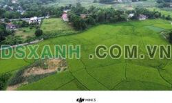 bán đất nghỉ dưỡng Liên Sơn Lương Sơn Hòa Bình 2000m 100m ONT giá rẻ