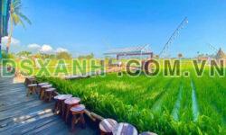 ĐẤT SỔ ĐỎ – NGAY CỬA NGÕ TP. TAM KỲ – GIÁ 1 TỶ/ LÔ 108M2