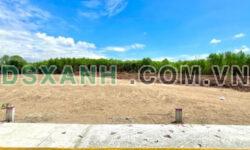 Mở Bán Đất Mặt Tiền Cực Đẹp Nằm Ngay Vị Trí Vàng Đường Nguyễn Xiển – TP. Hồ Chí Minh