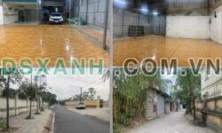 Chính chủ Cho thuê kho khu Đại Áng, Thanh Trì, Hà Nội; 10tr/th; 0396268298