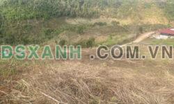 bán đất mộc châu