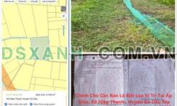Chính chủ cần bán lô đất Lúa tại xã Hiệp Thạnh, huyện Gò Dầu, Tây Ninh; 1,25 tỷ; 0969589988