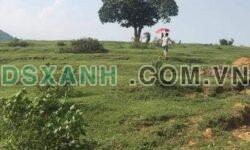 Bán đất gần TT Việt Vinh – Bắc Quang diện tích 4ha giá công khai 1,2 tỷ