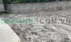 Bán đất chính chủ 55,6m2 tại Phúc Thọ, Hòa Phong, Mỹ Hào. Giá F0 bao thuế phí. Lh:0969067447.