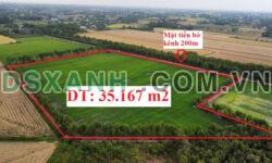 35.167 m2 đất lúa xã Mỹ Thạnh Đông, Đức Huệ, Long An giá 275tr/ 1.000 m2