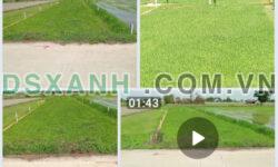 Bán đất vị trí đẹp tại Đức Hòa Thượng, Đức Hòa, Long An; 1,45 tỷ; 0342309114