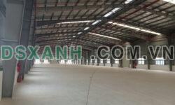 Cho thuê nhà xưởng 8000m2 pccc tự động tại Hải Dương