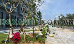 Đất bán nhà, đất cách đại lộ Hùng Vương 500m hướng biển , Bình Kiến, Tuy Hòa, 0866563878