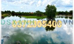 ⭐Bán đất nuôi tôm thả lang tại Long Vĩnh, Duyên Hải, Trà Vinh; 120tr/công; 0372305400