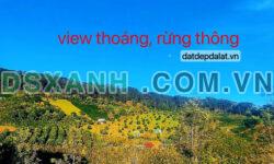 Giá Bán: 2 tỷ 890 triệu – Diện tích = 6.623m2 – tại Đà Lạt, chính chủ