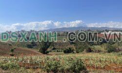 Bán đất nghỉ dưỡng ven Đà Lạt Lâm đồng