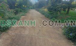 8764m2 đất vườn sầu riêng thôn 6, xã Lộc Nam, huyện Bảo Lâm, Lâm Đồng giá 4ty400