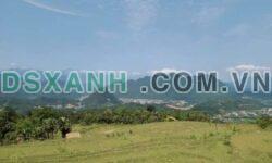 Cần bán mảnh đất ở Cao Bành hơn 4ha – Giá chỉ 3,x tỷ