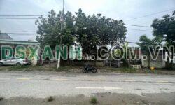 Bán mảnh đất mặt đường Thanh Niên (Bờ Đê Phố đi bộ Sông Cầu-BK) – DT 200m2