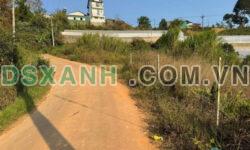 Hot Hot – Bán gấp 817m2 Đất view thoáng tại Xuân Thọ, Đà Lạt giá chỉ 3.9 tỷ
