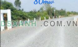 Quá Hót! 1200m2 đất vườn Long An, hỗ trợ chuyển full thổ, sẵn sổ riêng, chỉ 850tr/1000m2. Lh;0772561828.