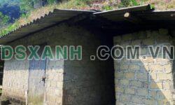 Bán vườn cam 10 ha tại Đông Thành – Bắc Quang – Giá 2tỷxxx