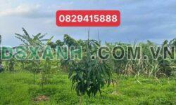 Bán đất mặt đường Ngọc Quyến, Hưng Đạo – TP Cao Bằng -DT 430m2 – Giá 1.x tỷ