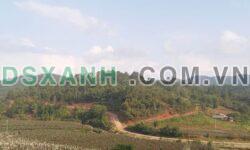 Bán đất bản Páo Khắt – Nậm Khắt – Mù Cang Chải – DT 2.2 ha – Giá: 5.2 tỷ
