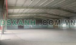 Cho thuê Kho Xưởng Cụm Xưởng 10.000m2 Tân Kiên, Bình Chánh. Có PCCC, đường xe Cont 40f 24/24.