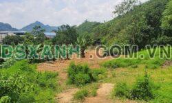 Bán đất tổ 11 thị trấn Đồng Tâm – Chợ Mới – Bắc Kạn – DT 1773m2 – Giá 1,xx tỷ
