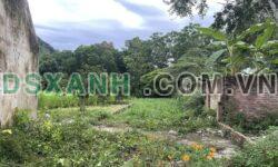 Bán đất 130 m2 tại Yên Bình, Thạch Thất – Hà Nội – Thổ cư 100 m2 – Giá chỉ 1,x tỷ