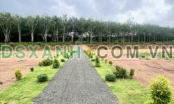 Đất nền giá rẻ gần ngay cao tốc chơn thành gia nghĩa giá đầu tư f0