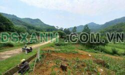 Bán 10 ha đất rừng SX Hùng Sơn, Kim Bôi, Hoà Bình – Giá giá nhỉnh 3 tỷ