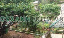 BÁN NHÀ VƯỜN TỔ 4 NGỌC XUÂN – TP Cao Bằng – DT 1100m2 – Giá 1.x tỷ