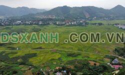 Bán 1500 m2 đất nghỉ dưỡng cao gần hồ Cố Đụng, Tiến Xuân, Thạch Thất – HN Giá 6,xtỷ