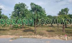 Bán Đất vườn xoài 2.200m2/750tr xào tại La Ngà Huyện Định Quán Tỉnh Đồng Nai