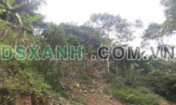 Bán 15 ha đất rừng sản xuất bám suối tại Lương Sơn, Hoà Bình cách HN 60 km