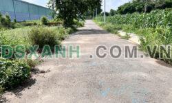 BÁN ĐẤT NHÀ VƯỜN NGHỈ DƯỠNG – LONG PHƯỚC, BÀ RỊA – VŨNG TÀU, Giá chỉ 1 tỷ 250.