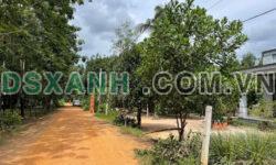 Một lô hơn 300m2 ở Chơn Thành ngay gần chợ giá chỉ 255 triệu sổ sẵn