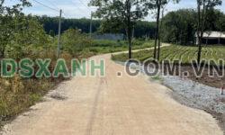 Đất chính chủ cần bán vị trí đẹp mặt tiền giá 4xxtr