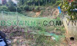 Bán đất thôn Châng – xã Phương Thiện – DT 5×23 full thổ cư – Giá 550tr