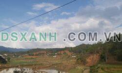Bán đất bản Páo Khắt, xã Nậm Khắt, huyện Mù Cang Chải- DT 7000m2 – Giá 2,1 tỷ