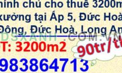 ⭐Chính chủ cho thuê 3200m2 xưởng tại Ấp 5, Đức Hoà Đông, Đức Hoà, Long An; 0983864713