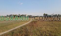 Bán đất vuông vức cực đẹp tại Trung Tâm Đức Hoà 1123m2 SHR 1.8 tỷ. Lh;0906857935