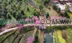 Bán đất Bản Háng Gàng, Lao Chải , huyện Mù Cang Chải- Diện tích: gần 20ha CLN