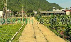 Bán đất tại tổ 9 – P. Ngọc Hà Thành phố Hà Giang – DT 140m2 – Giá 710tr