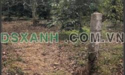 ⭐Chính chủ bán lô đất vị trí đẹp xã Phú Xuân, huyện Krong Năng, Đắk Lắk; 3,5 tỷ; 0356863920