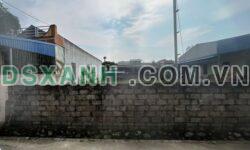Bán đất tổ 10 P Quang Vinh, TP Thái Nguyên – DT 107,5m2, full thổ cư