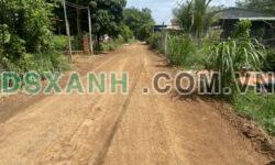 Vườn sầu riêng hơn 500m2 ở Bình Phước bán giá ngộp trong tuần chỉ 285 triệu