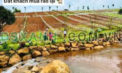 Đất dân giá ngộp cần ra nhanh ở xã Tân Hưng H.Đồng Phú 3000m2 SHR chỉ 450tr 1 sào. Lh:0396433952.