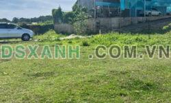 Bán gấp Đất Biệt Thự đẹp tại Măng Ling, Đà Lạt 203m2 giá chỉ 4.25 tỷ