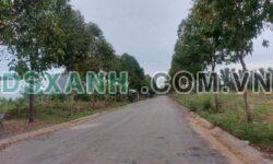 Chủ gửi bán 5a19 đường N11 Mỹ Phước 4 TP Bến Cát Bình Dương Giá 1tỉ 6xx