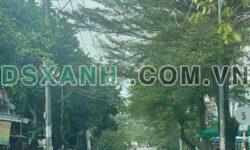 Lô đất mặt tiền đường D3 khu Nam Long diện tích 90m vị trí đẹp