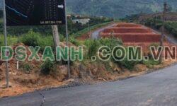 Đất vườn thôn 10 xã Lộc Nam,huyện Bảo Lâm,Lâm Đồng dt 6000m2 giá 1 tỷ 250 triệu
